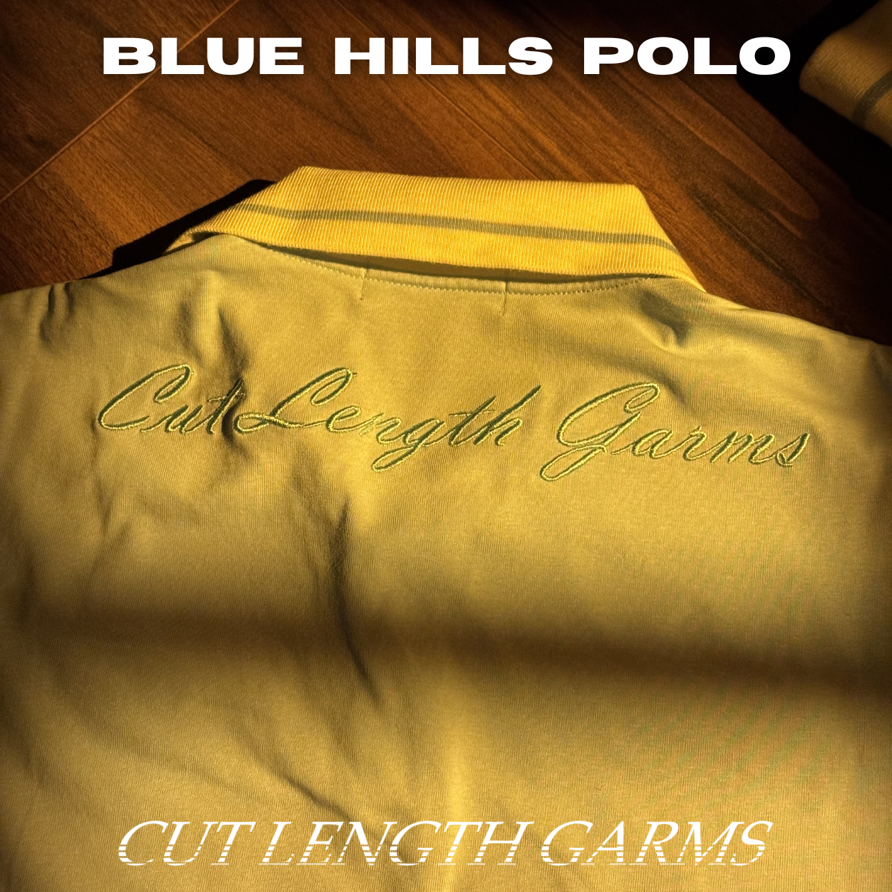 BLUE HILLS POLO TOP